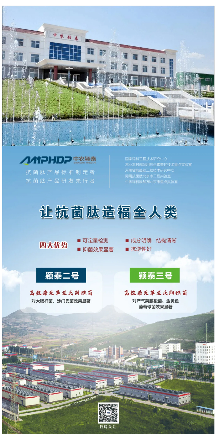 中農穎泰-助力廣西動物營養與飼料學術年會_04