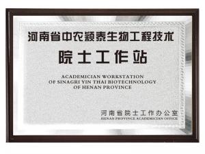 Academician workstation