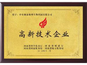 High tech enterprise