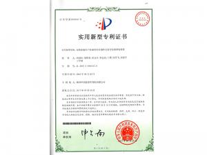   Practical patent certificate