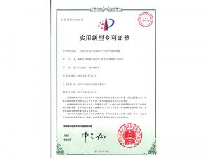   Practical patent certificate