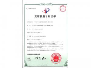   Practical patent certificate