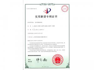   Practical patent certificate