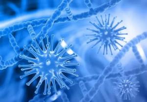 Holistic evaluation of antibiotic substitutes for pigs: a meta-analysis