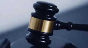 Interpretation of The Technical Scheme of Reducing Corn and Soybean Meal for Pig and Chicken Feed