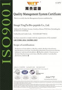 Quality Management System Certificate-en