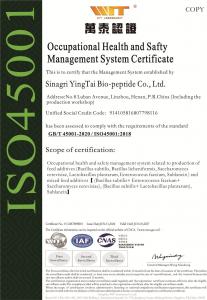 Occupational Health and SaftyManagement System Certificate-en